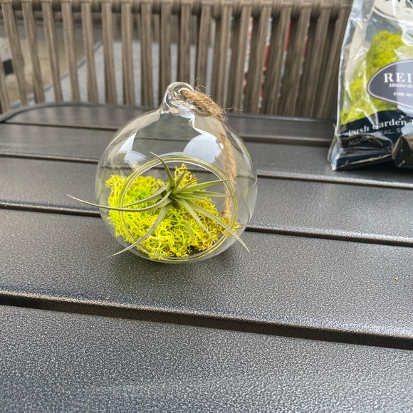 Other - 2 LEFT: Terrarium